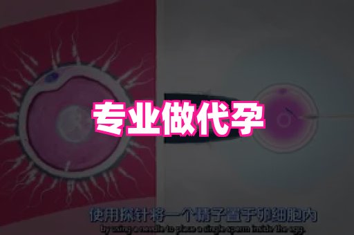 长沙助孕网站 1