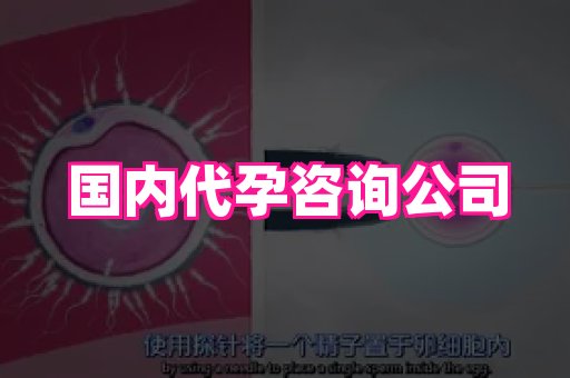 长沙助孕网站 2